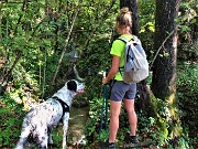 38 Lo spettacolo di cascatelle e pozze continua, ma gli alberi ancora carichi di foglie ce lo nascondono